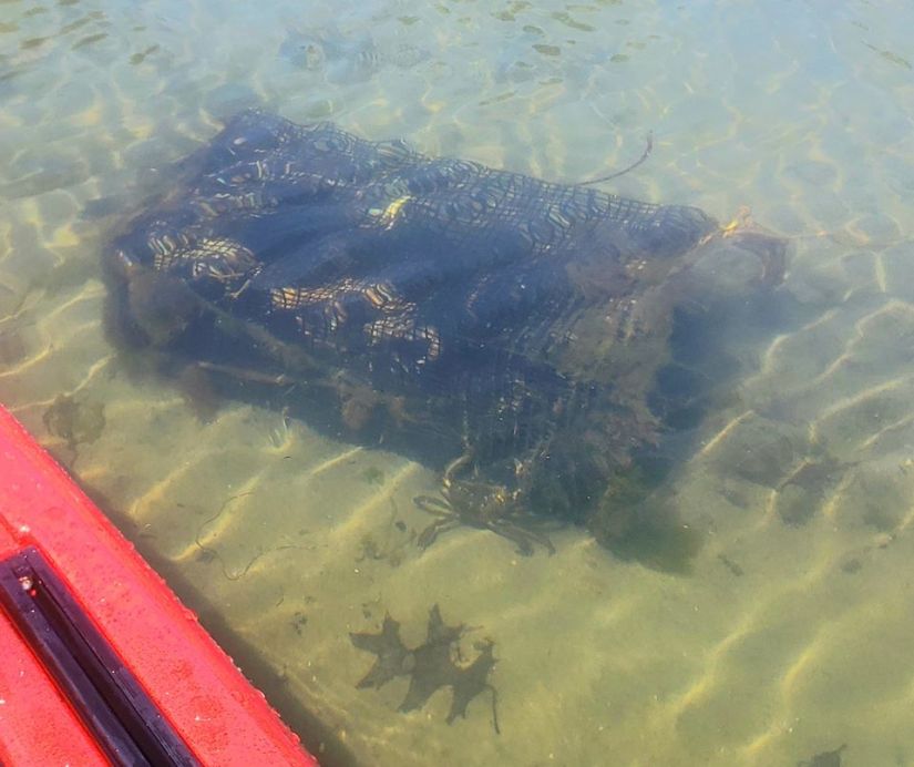 75224777_10158426126074758_2251421962325060125_o